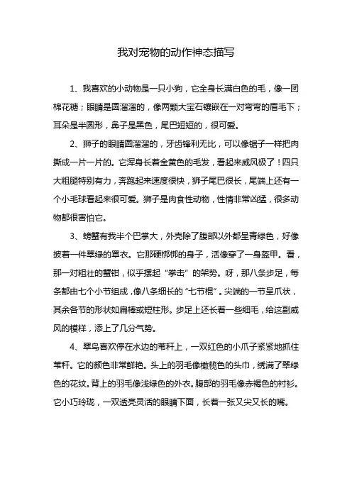 我对宠物的动作神态描写