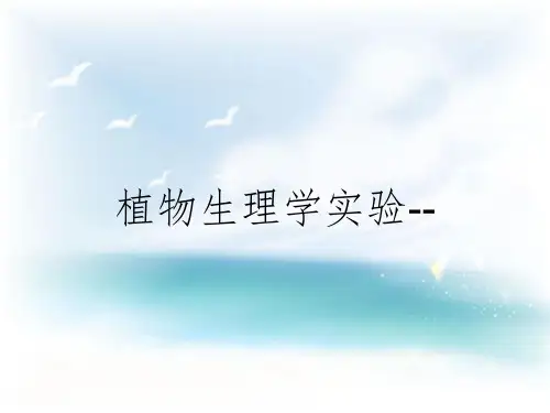 植物生理学实验--