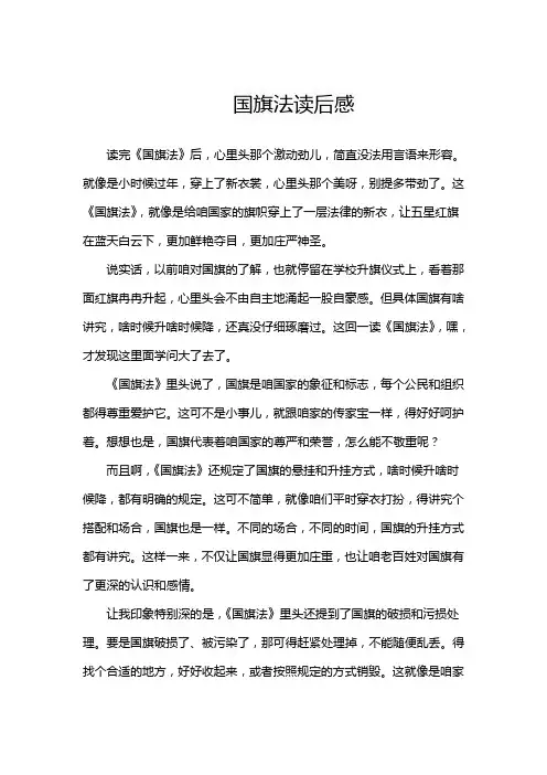 国旗法读后感