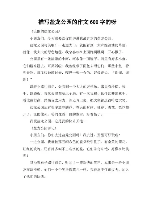 描写盐龙公园的作文600字的呀