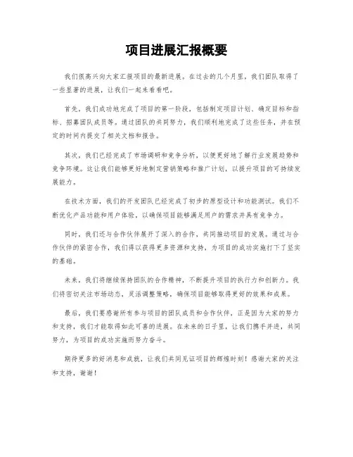 项目进展汇报概要