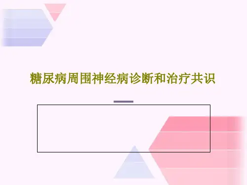 糖尿病周围神经病诊断和治疗共识27页PPT