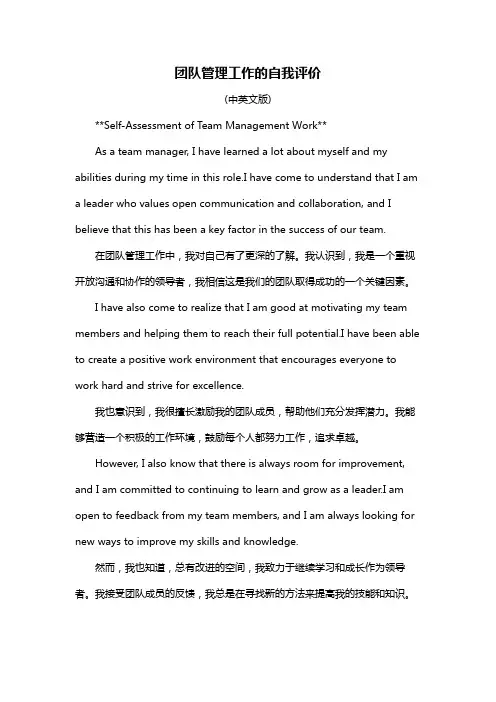 团队管理工作的自我评价