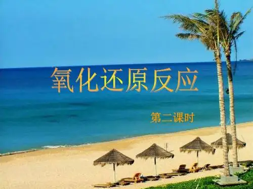 第2课时 氧化还原反应 双线桥