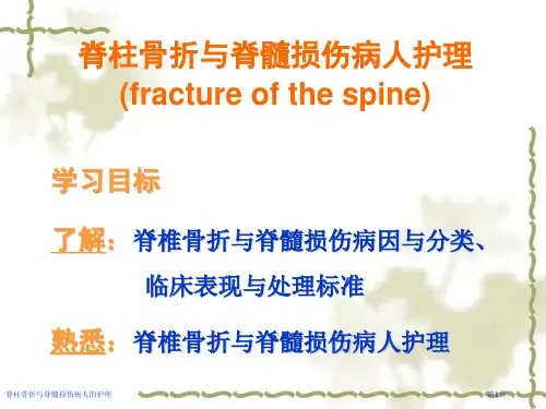 脊柱骨折与脊髓损伤病人的护理
