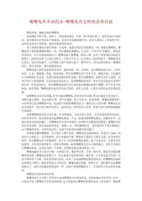 鹰嘴龟养多深的水-鹰嘴龟有怎样的营养价值