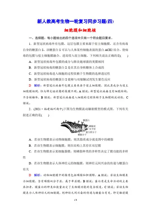 新人教高考生物一轮复习同步习题(4) 细胞膜和细胞核