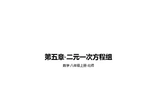 北师大版数学八年级上册 第五章·二元一次方程组  期末复习提升课件ppt（3课时打包）