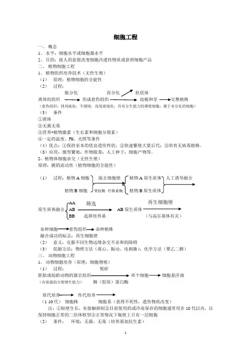 细胞工程知识点