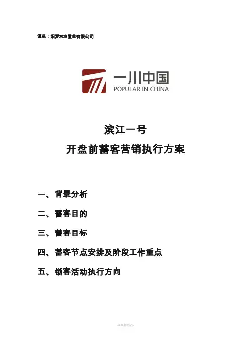 滨江一号开盘前蓄客营销执行方案