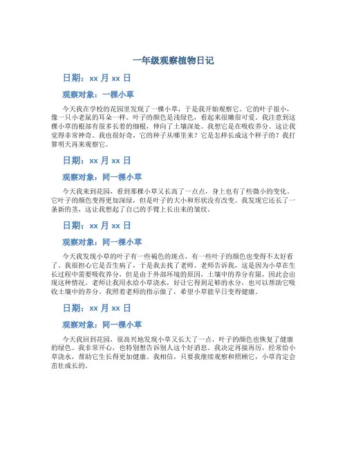 一年级观察植物日记
