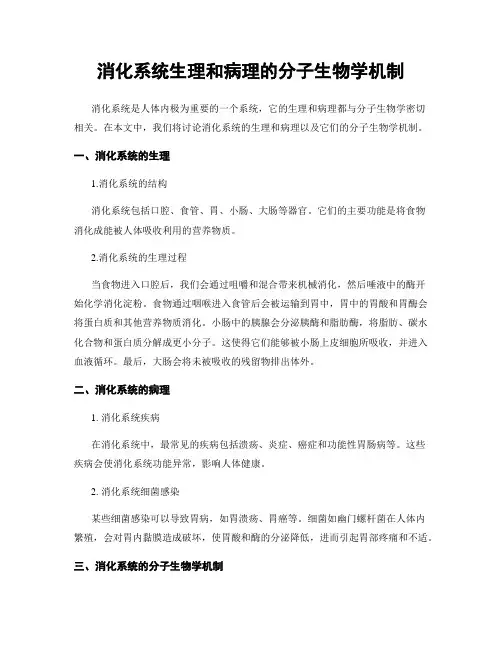 消化系统生理和病理的分子生物学机制