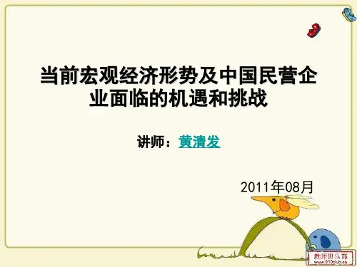 当前宏观经济形势及中国民营企业面临的机遇和挑战