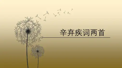 《辛弃疾词两首》课件35张  2021—2022学年人教版高中语文必修四