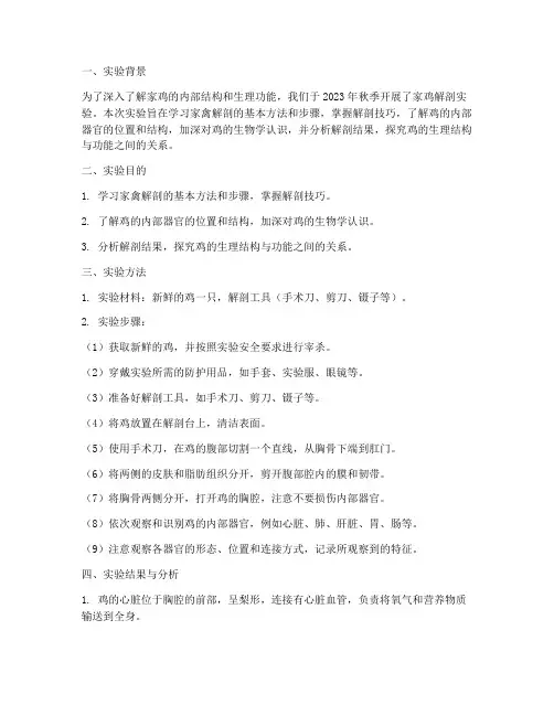 家鸡解剖实验报告总结