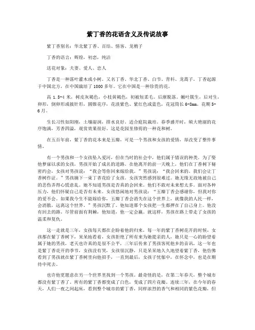 紫丁香的花语含义及传说故事