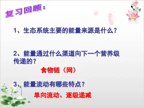 人教版高中生物必修三生态系统的物质循环课件_-ppt精品课件