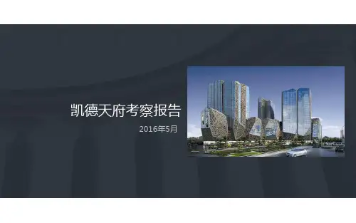 成都凯德天府项目考察报告