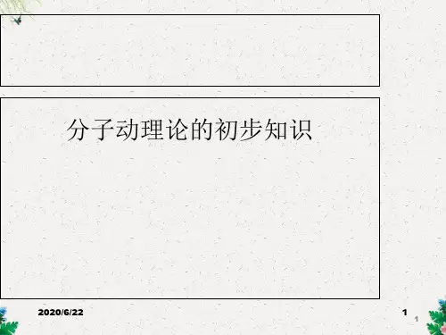 教科版九年级物理上册1.1分子动理论课件 (共24张PPT)