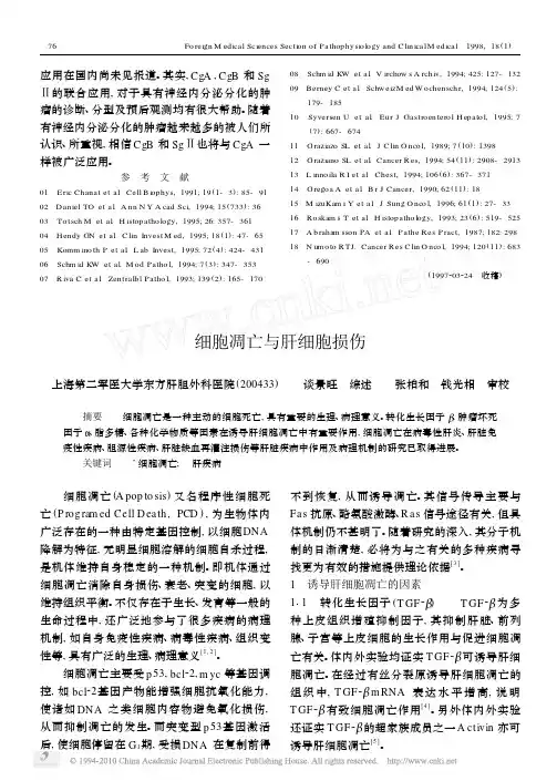 细胞凋亡与肝细胞损伤