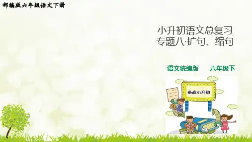 部编版六年级语文下册期末复习《扩句、缩句》课件