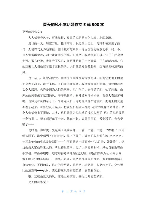 夏天的风小学话题作文5篇500字