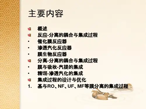 分离技术概论耦合与集成技术ppt课件