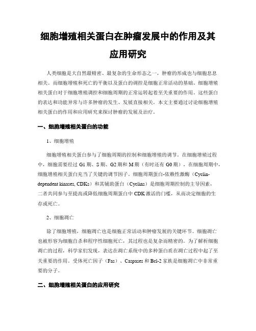 细胞增殖相关蛋白在肿瘤发展中的作用及其应用研究