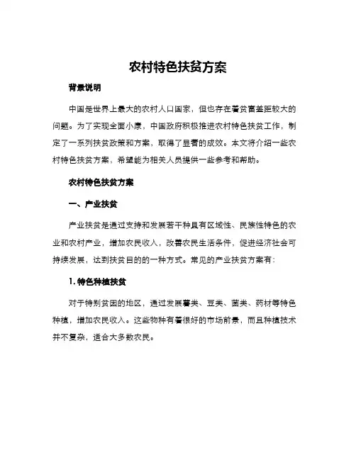 农村特色扶贫方案
