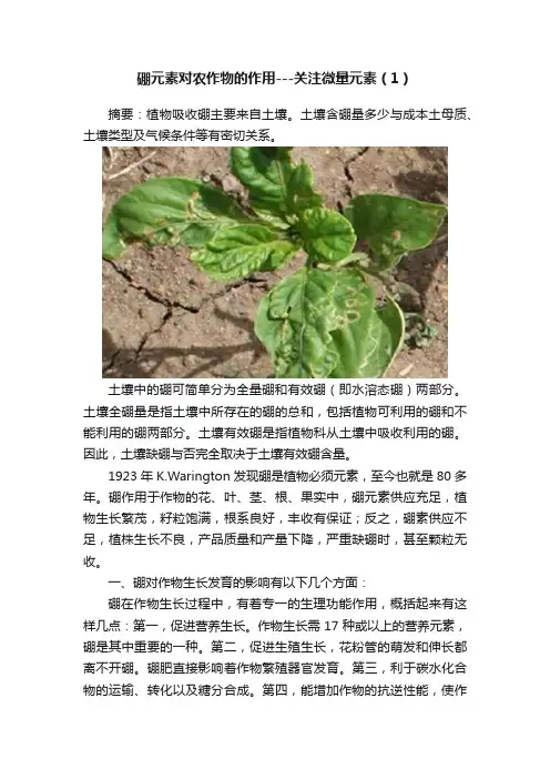 硼元素对农作物的作用---关注微量元素（1）
