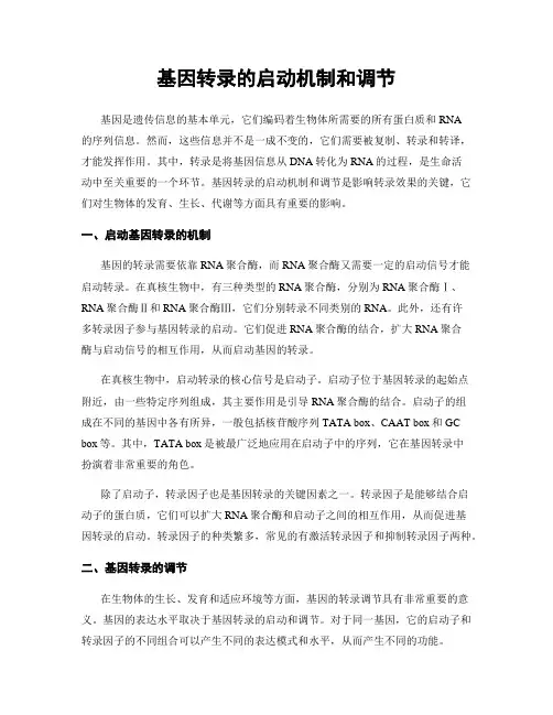 基因转录的启动机制和调节
