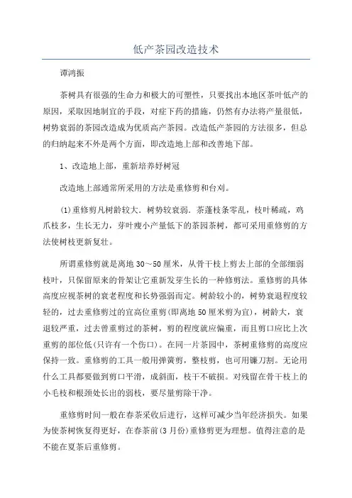 低产茶园改造技术