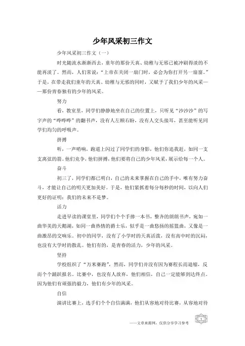 少年风采初三作文