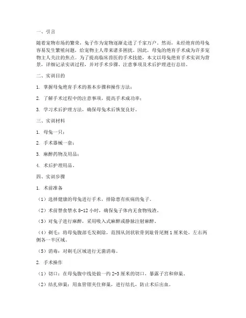 母兔的绝育手术实训报告