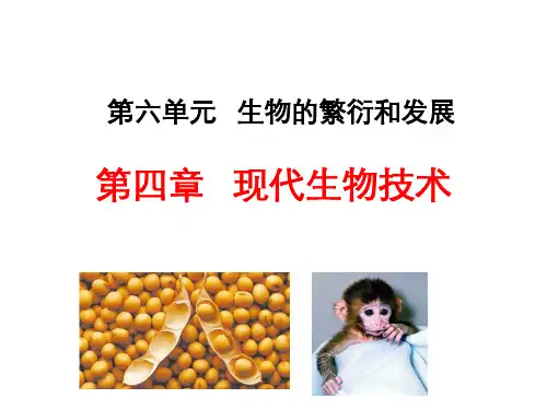 第四章现代生物技术课件2021--2022学年冀少版生物八年级下册