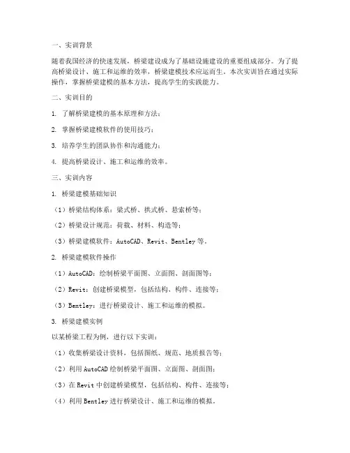 桥梁建模实训报告总结