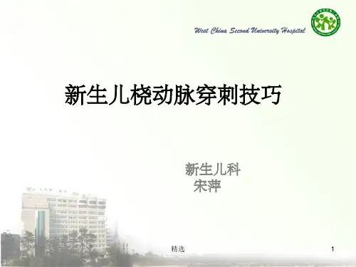 新生儿动脉穿刺技巧ppt课件