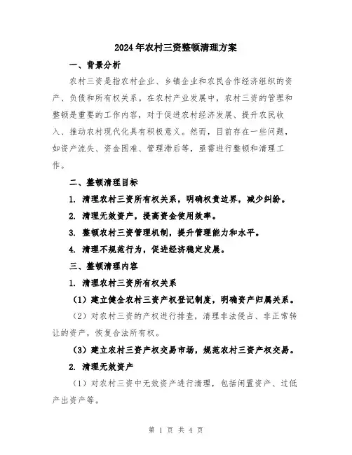2024年农村三资整顿清理方案