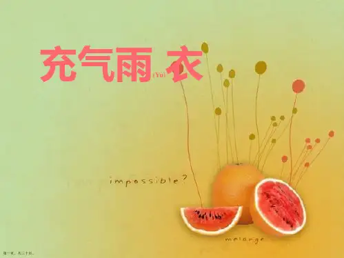 二年级语文下《充气雨衣》课件