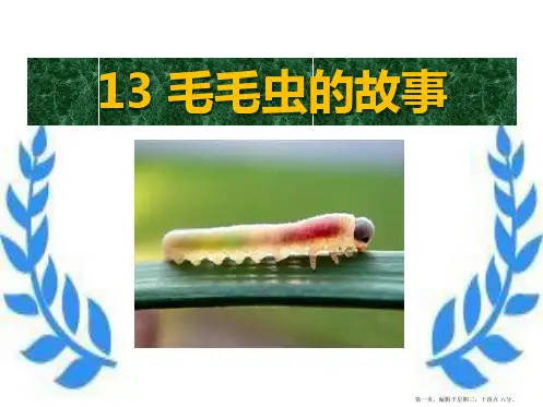 2022语文A版语文三上《毛毛虫的故事》ppt课件