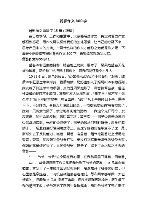背影作文800字15篇（精华）