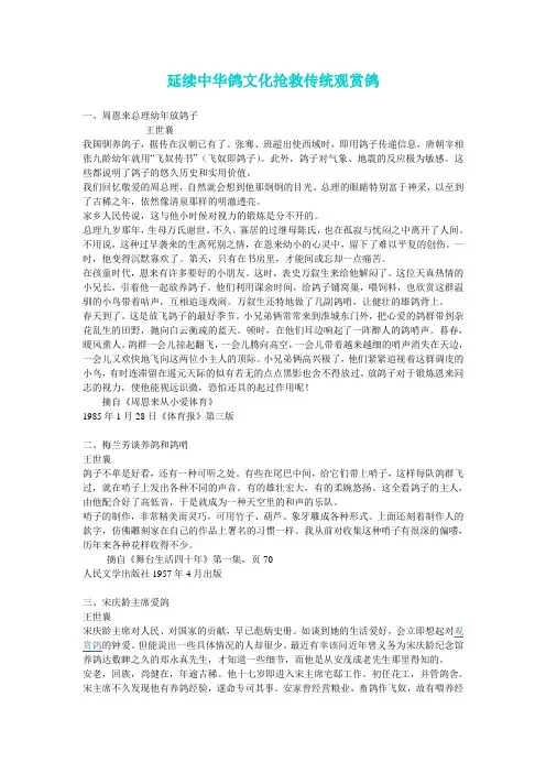 传统观赏鸽爱好者