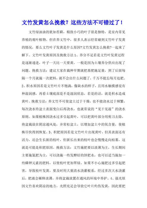 文竹发黄怎么挽救？这些方法不可错过了!