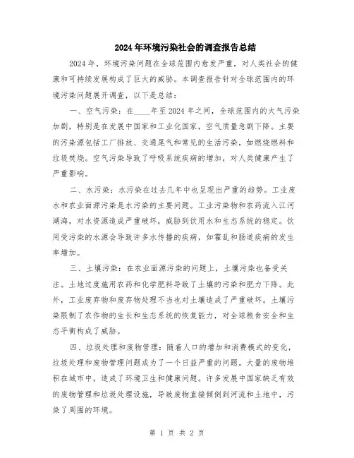 2024年环境污染社会的调查报告总结