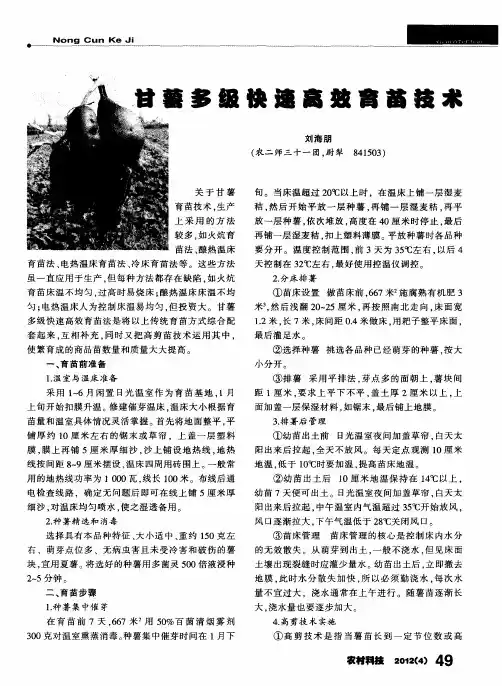 甘薯多级快速高效育苗技术