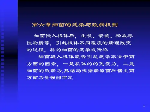 细菌的感染与致病机制ppt课件