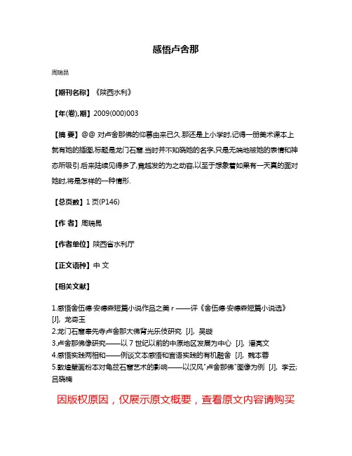 感悟卢舍那
