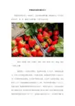 草莓速冻保鲜贮藏的技巧