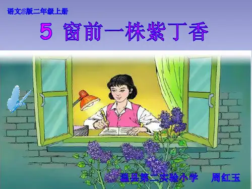 《窗前一株紫丁香》语文S版二年级语文上册课件