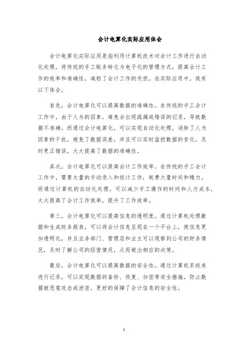 会计电算化实际应用体会